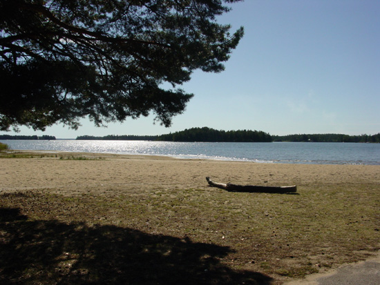 DSC03196