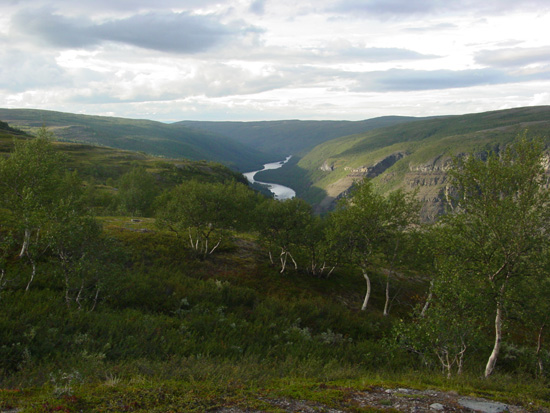 DSC03360